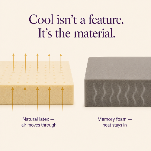 The Mattress